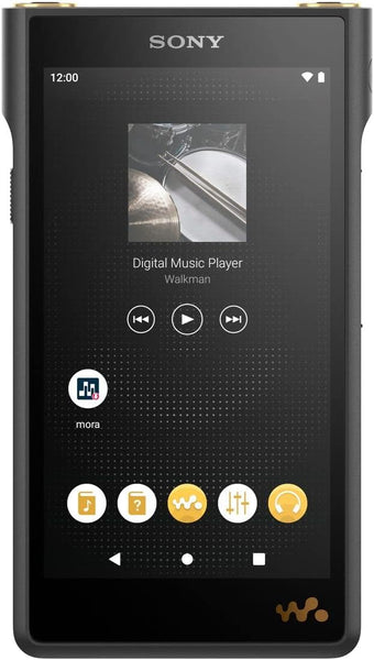 Sony Walkman 128GB WM1 Series NW-WM1AM2: Equipped with Android/USB-TtpeC Cable Compatible/DSDDSD 11.2MHz Native Playback PCM 384kHz/32bit Playback/Equipped with DSEE Ultimate DSD Remastering Engine