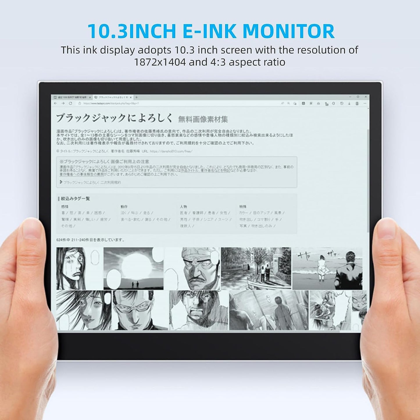 Acogedor 10.3 Dedicated Monitor with E INK Screen
