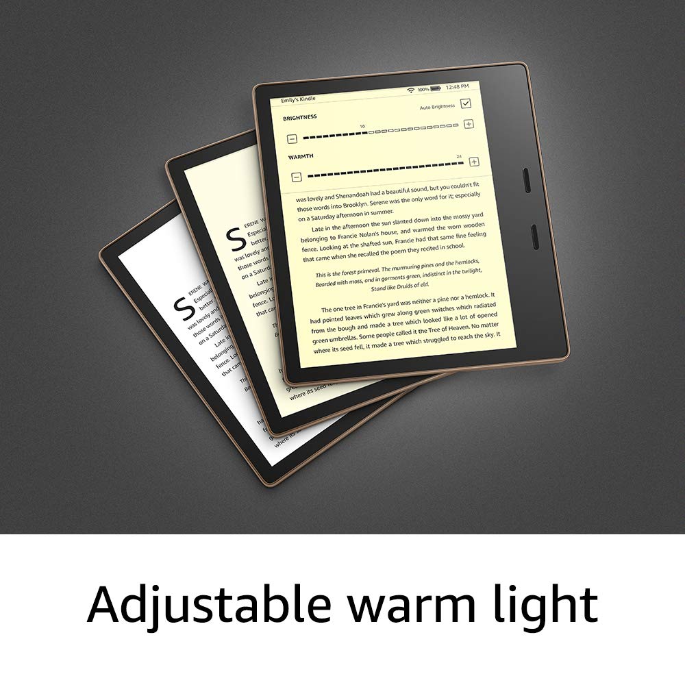 Amazon Kindle Oasis 3 with adjustable warm light (32GB